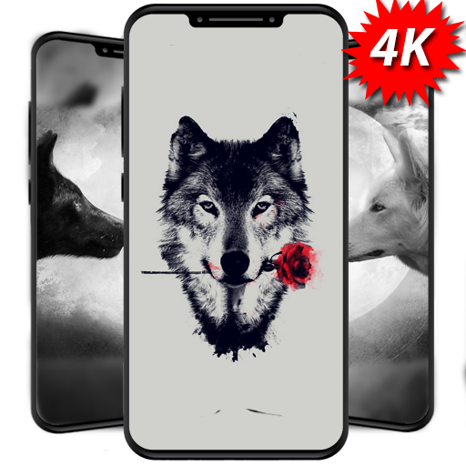 Wolf Wallpaper 4K High Quality icon
