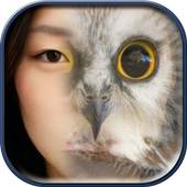 Animal Face Changer 1.0