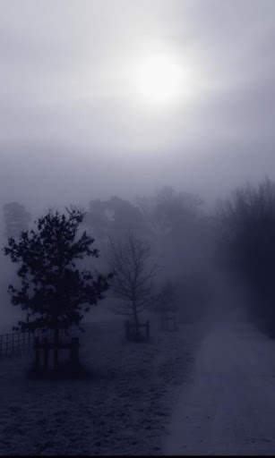 Mystic Night Live Wallpaper : 7fon & LWP screenshot 2