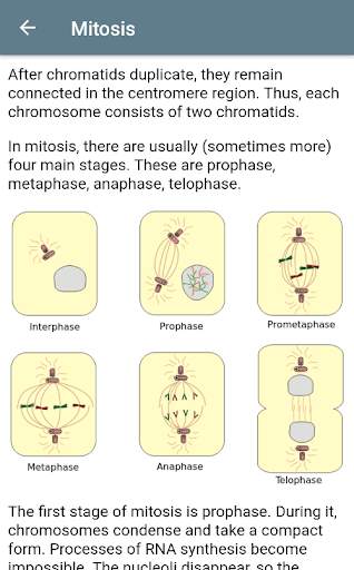 Mitosis, Meiosis and Organelles screenshot 6