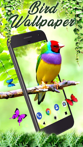 Bird APUS Live Wallpaper screenshot 2