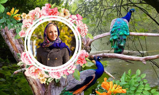 Peacock Photo Frames HD screenshot 8