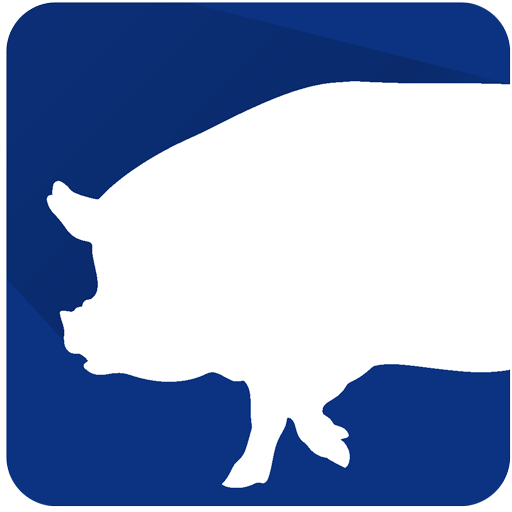 PigPlus أيقونة