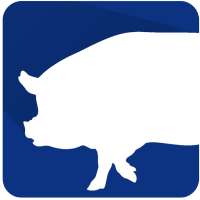 PigPlus