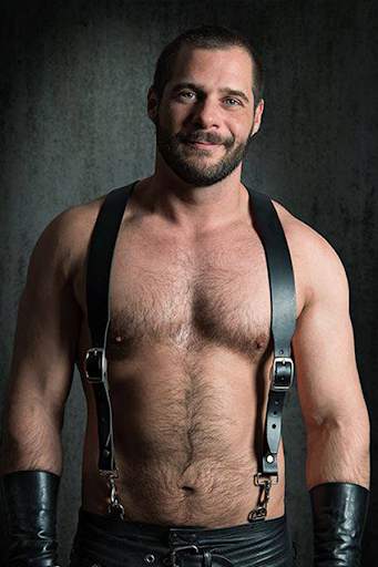 Gay Bear Wallpaper HD (LGBT Background Photo) screenshot 5