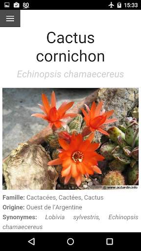 Au Cactus screenshot 2