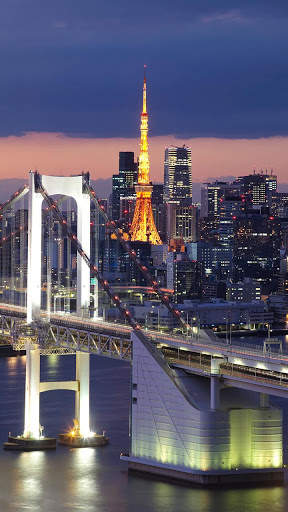 Tokyo Night Live Wallpaper screenshot 2