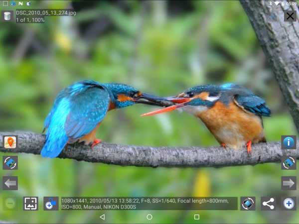 TinyPictureViewer3 screenshot 12
