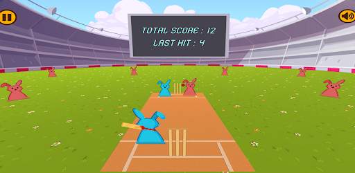 Bat Ball Cricket screenshot 5