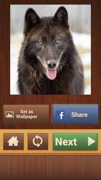 Wolf Puzzles screenshot 6