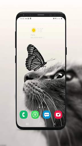 Backgrounds and Wallpapers ( Offline ) screenshot 13