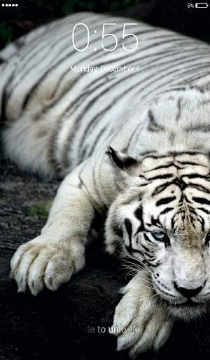 White Tigers Lock Screen Wallpaper screenshot 2