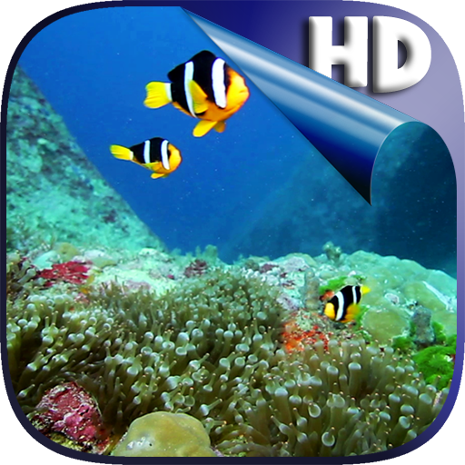 Colorful Fishes Live Wallpaper icon
