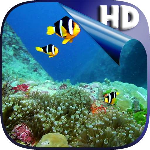 Colorful Fishes Live Wallpaper 4.0
