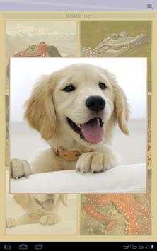 A to Z Kids Animal Game Free screenshot 8