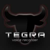 Voice Recorder