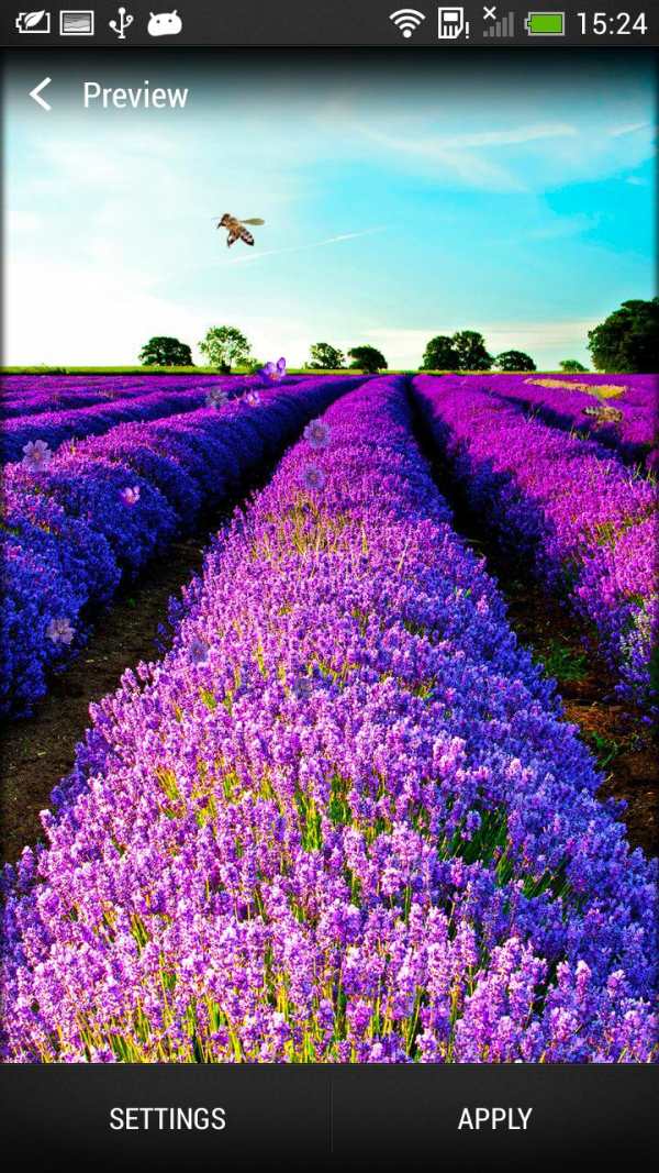 Lavender Live Wallpaper screenshot 3