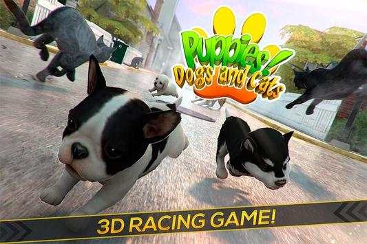 Puppies! Dogs and Cats Game screenshot 1