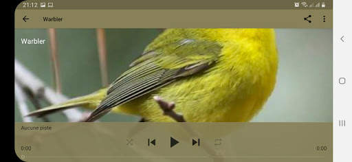 Bird Sounds screenshot 14