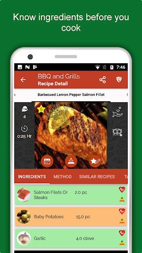 Barbecue Grill Recipes Offline screenshot 6