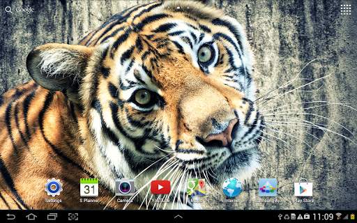 Tiger Live Wallpaper screenshot 10