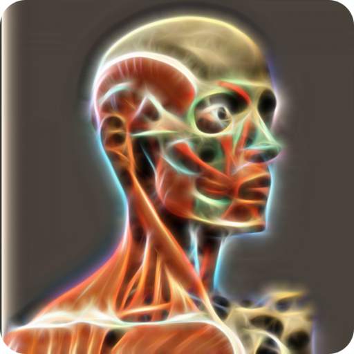 Learn Human Organs Works 1.0
