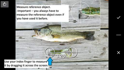 Fisherman's Mobile Weigh Station screenshot 4