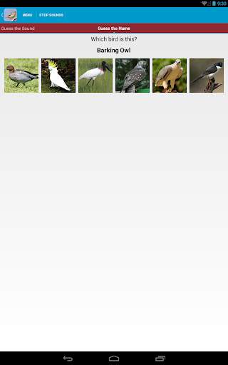 Australian Birds Sounds Free स्क्रीनशॉट 22