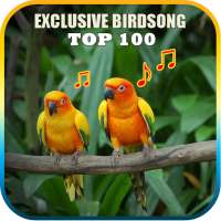 Birdsong Sound