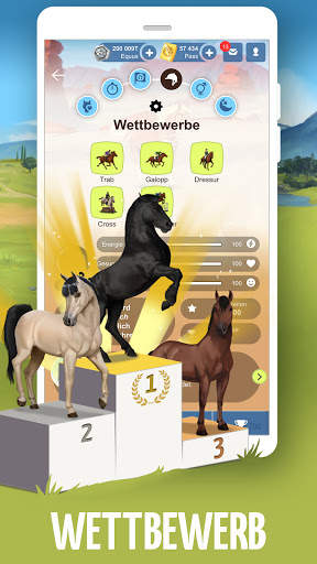 Howrse, das Gratis-Spiel rund um die Pferdezucht screenshot 6