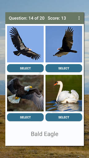 North American Bird ID Quiz screenshot 6