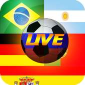 Live Football Matches: World Cup Edition logo