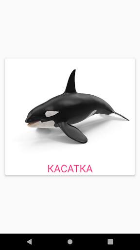 Карточки Домана screenshot 4