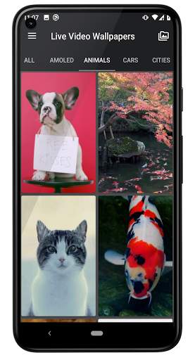 Live Video Wallpapers - free video wallpaper maker screenshot 4