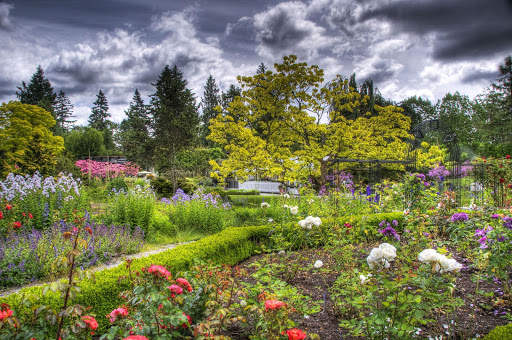 Garden Live Wallpaper screenshot 4