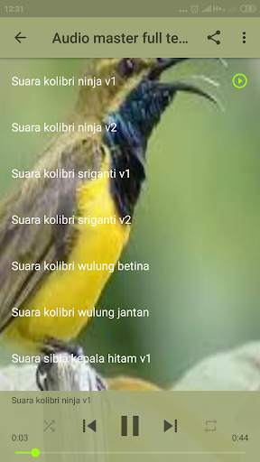 Audio Masteran Burung Tipe Nembak Kasar screenshot 7