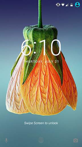Flower Wallpaper screenshot 7