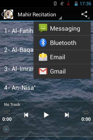 Maher AlMueaqly Full Quran MP3 screenshot 2