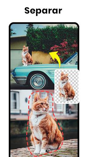 PicPlus®️ - Editor de Fotos screenshot 5