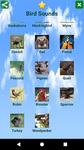 Bird Sounds 2 تصوير الشاشة