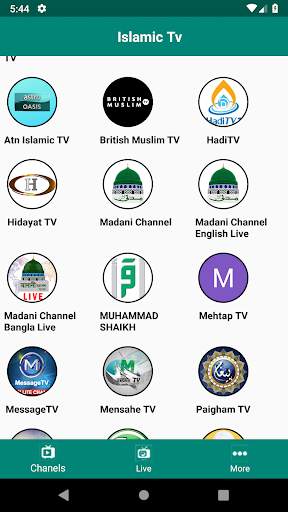 Islamic TV screenshot 3
