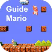Guide Super Mario Bros 1.0