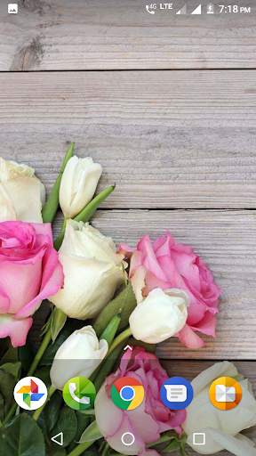 Beautiful Flowers HD Wallpaper screenshot 5