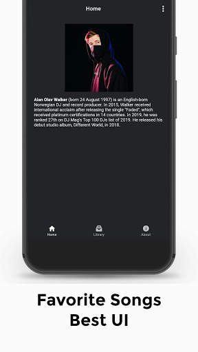 Alan Walker Lengkap Offline screenshot 3