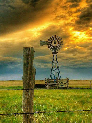 Free Jigsaw Puzzles screenshot 1