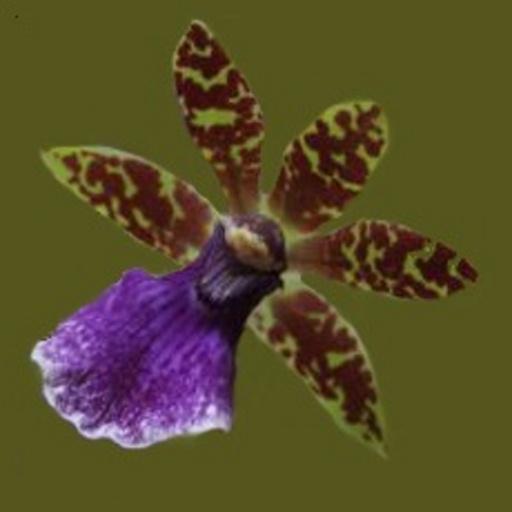 Happy Orchid App icon