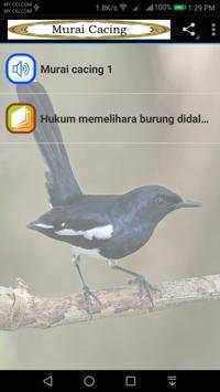 Murai Cacing screenshot 4