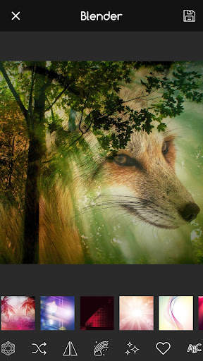 Sparkle Overlay Photo App screenshot 1