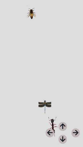 Ants race screenshot 2