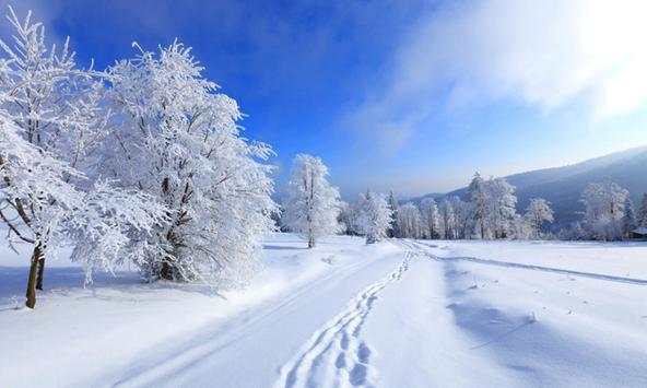 Winter wallpapers screenshot 4